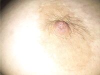 Big amateur tits