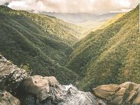 Asses, butts, booties #6